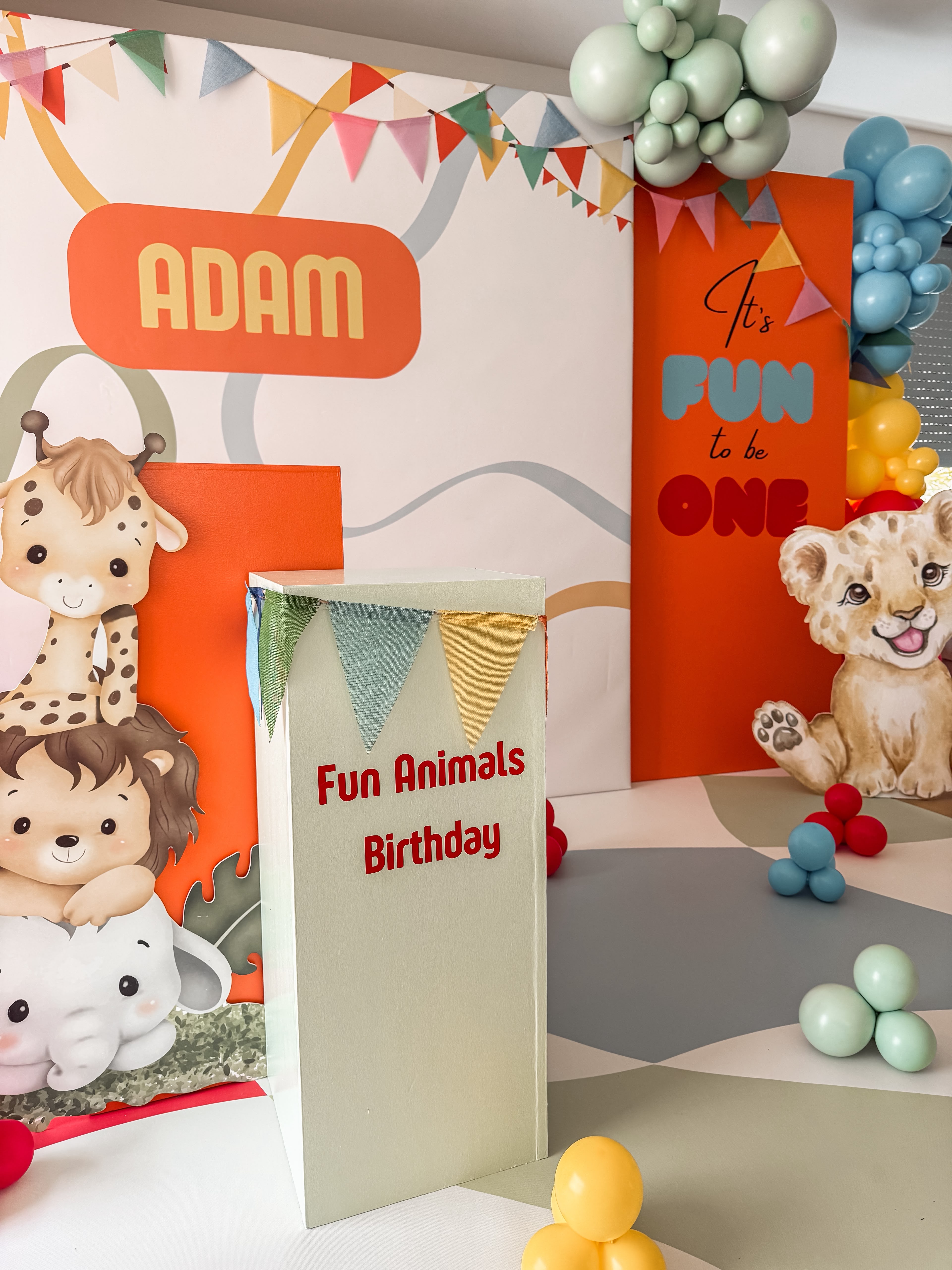 Anniversaire d’Adam - Photo 5