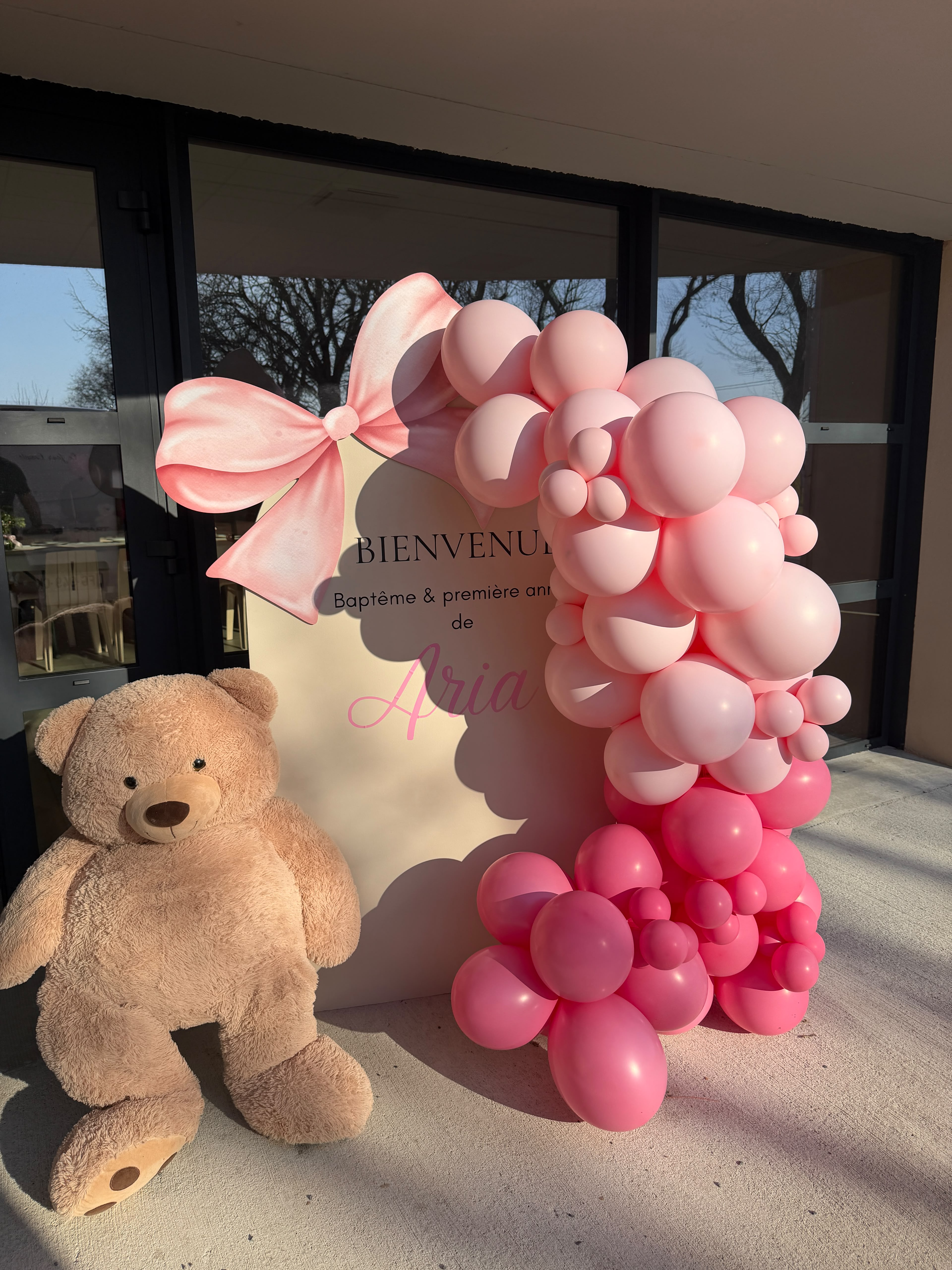 Anniversaire d’Aria