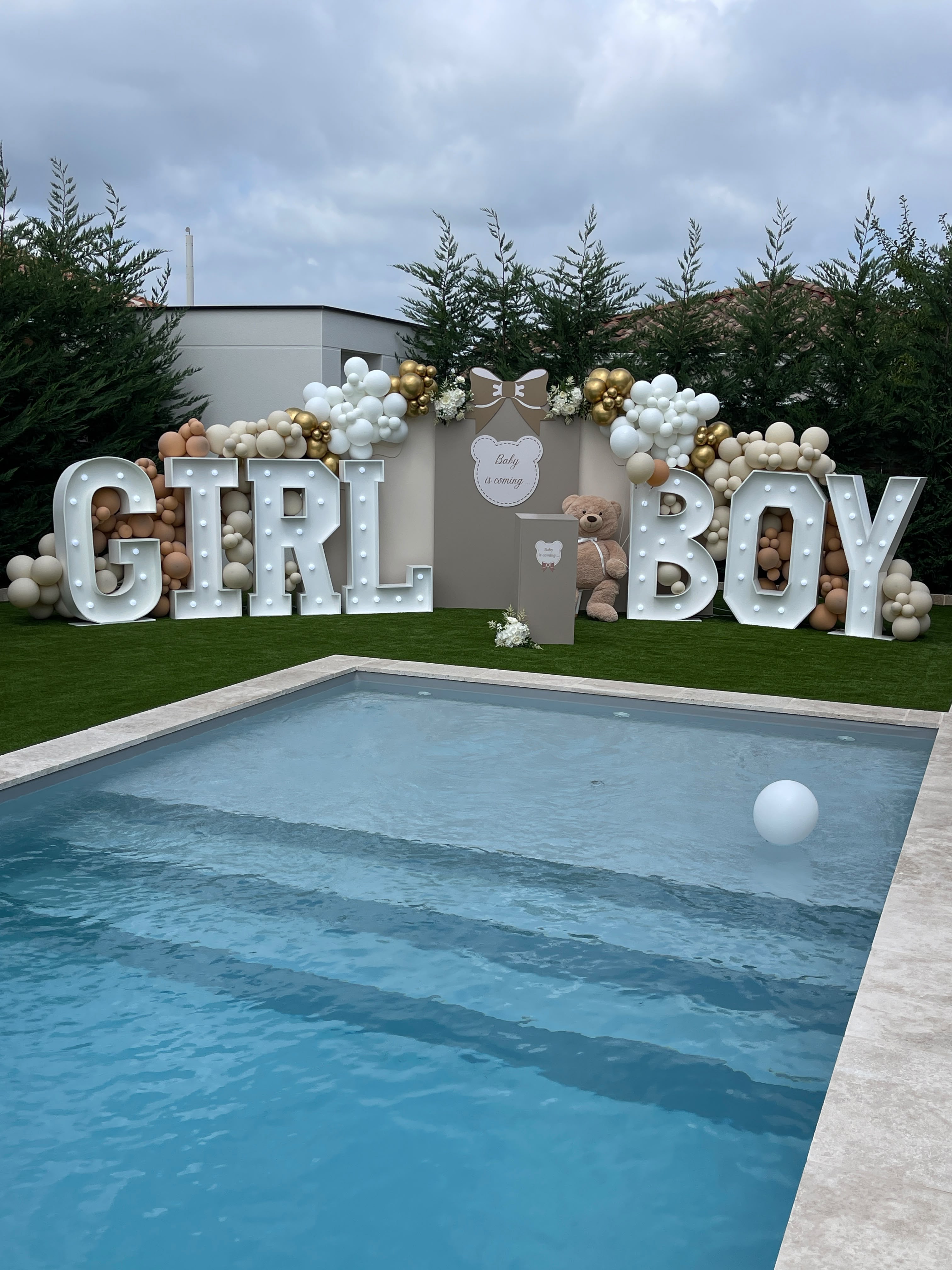 Gender Reveal - Photo 5