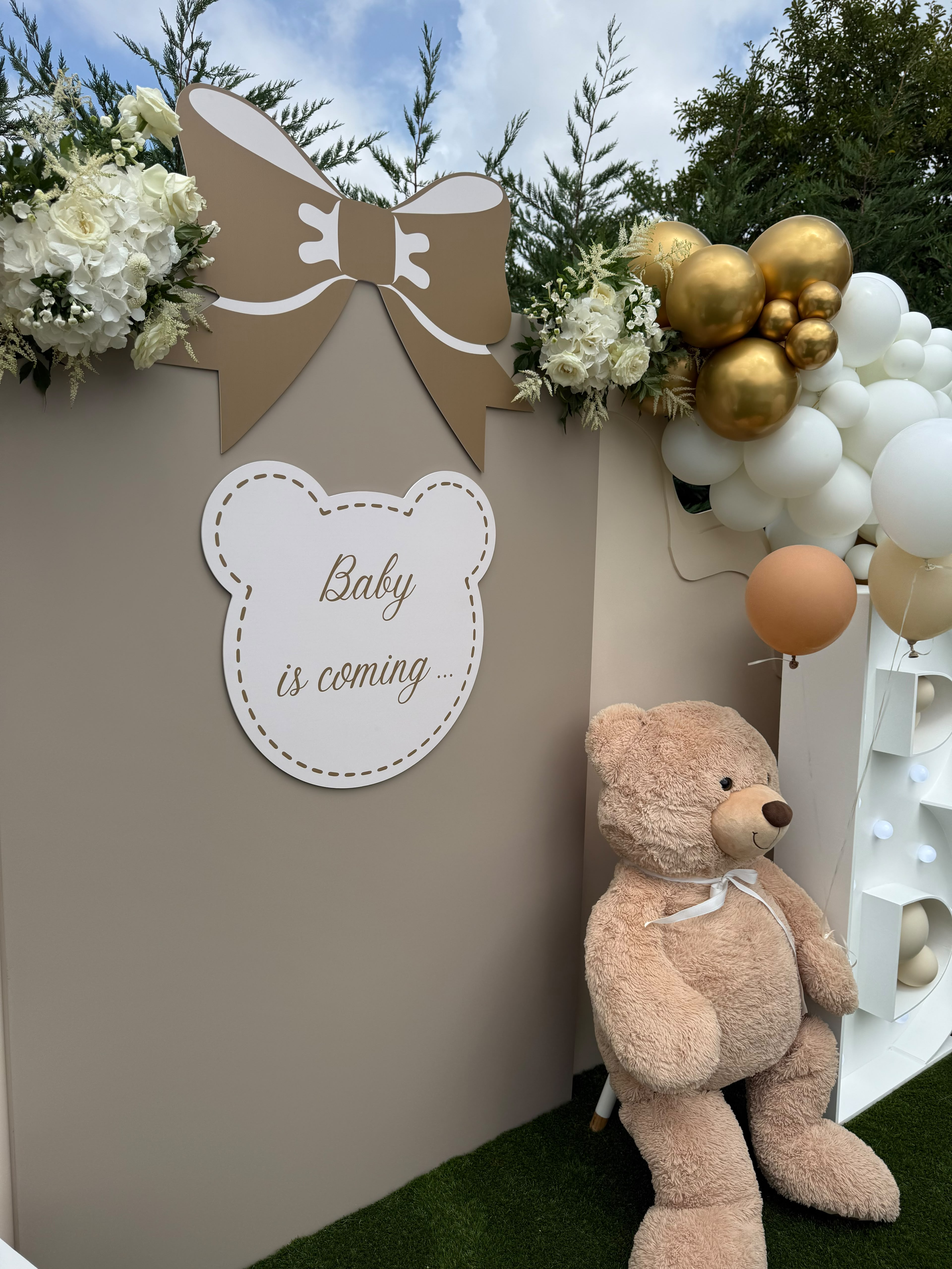 Gender Reveal - Photo 3