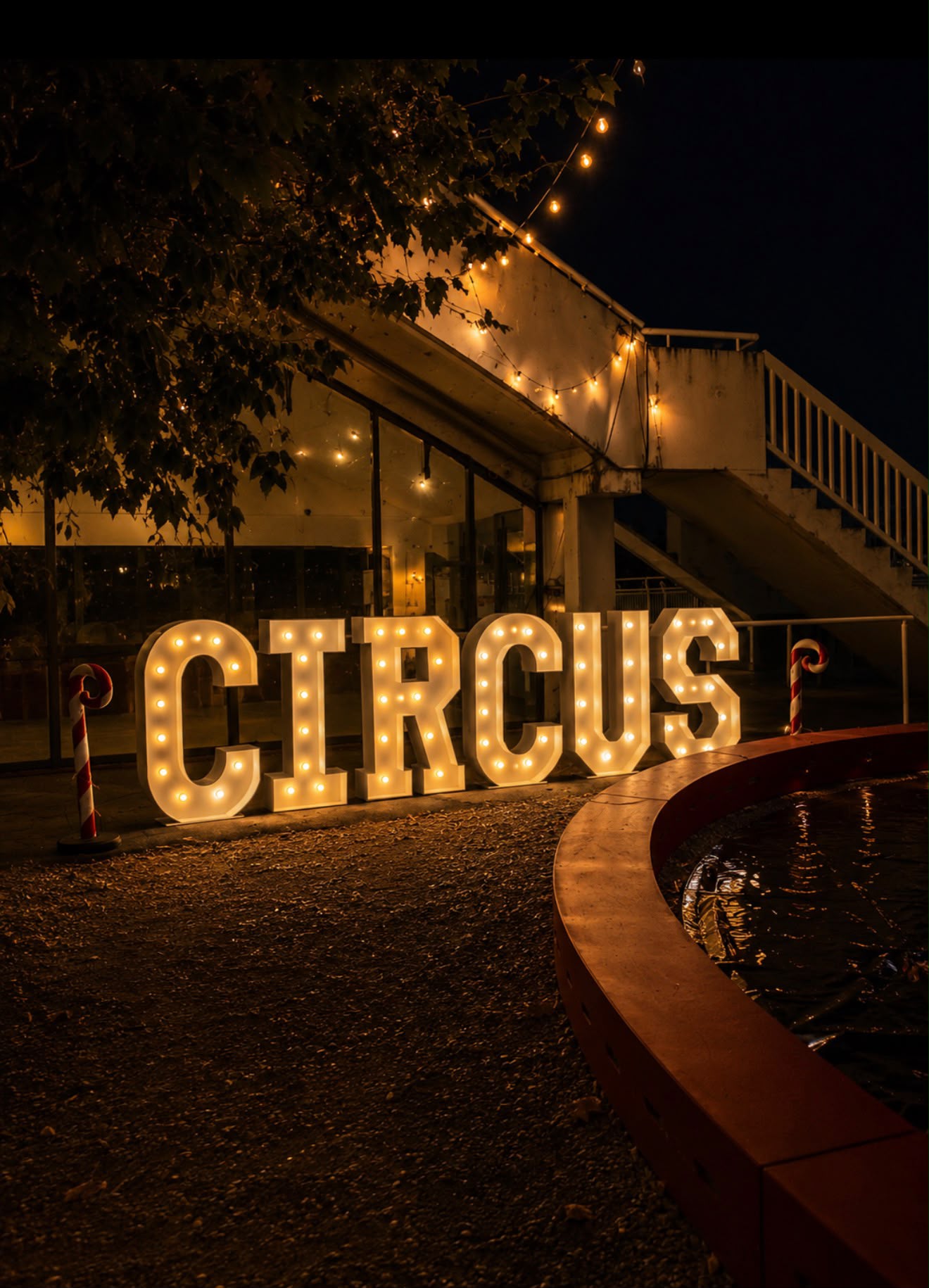 Soirée Circus  - Photo 4