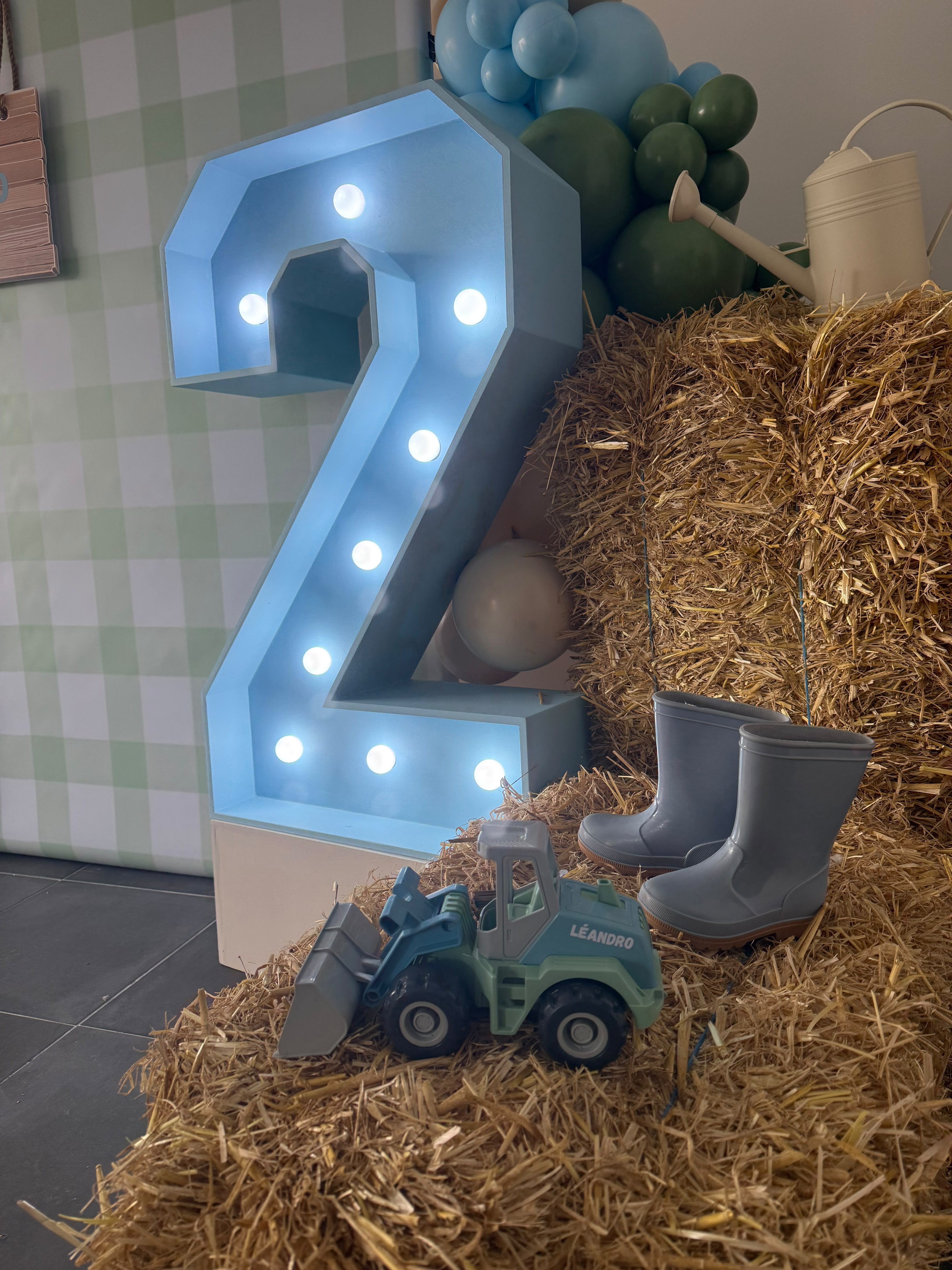 Les 2 ans de Léandro  - Photo 2